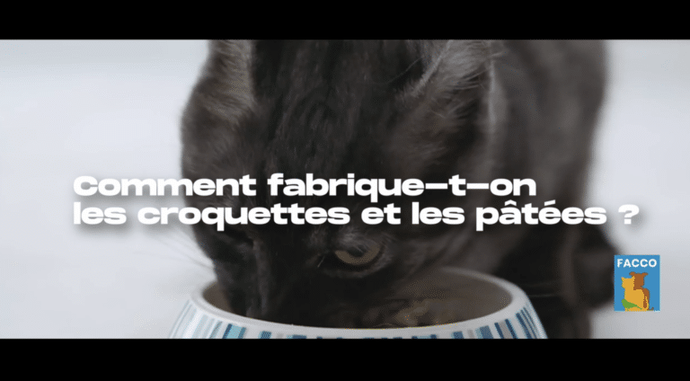 50 % des foyers français ont un animal de compagnie, selon la Facco