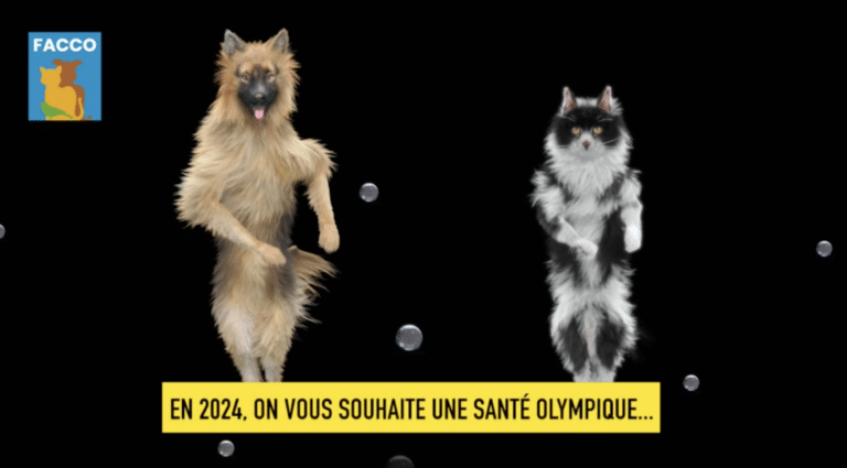 Bonne année 2024